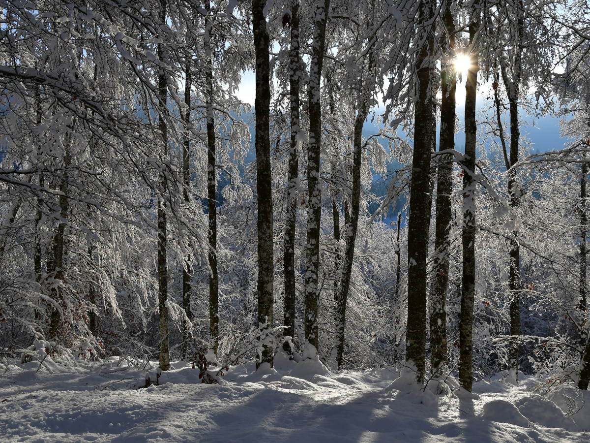 De la neige en veux-tu en voilà&nbsp;!