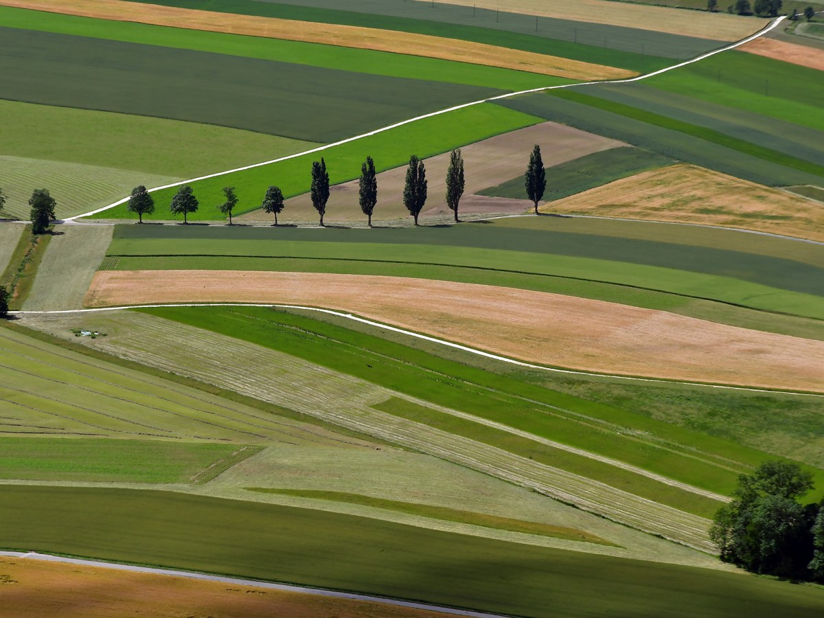 Du plateau de Diesse à Chaumont&nbsp;(NE)