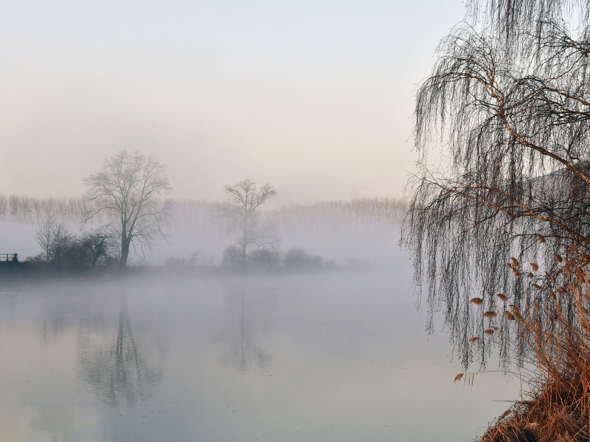 Mystérieuse et magique&nbsp;Thielle