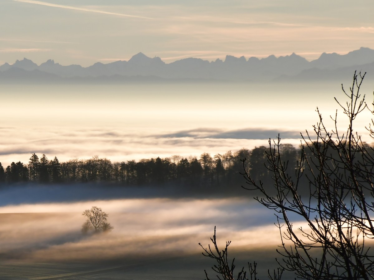 Le brouillard est la coquetterie du&nbsp;soleil